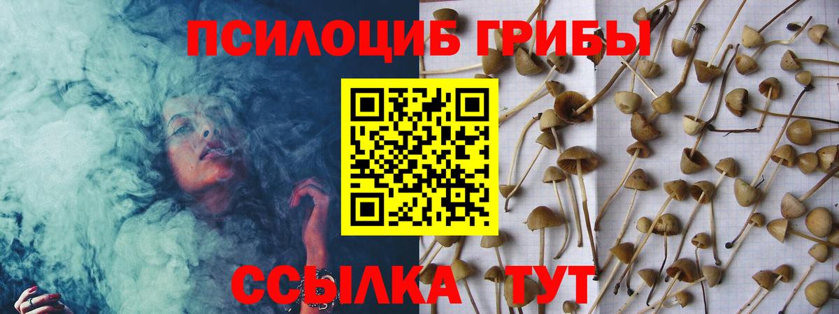 Псилоцибиновые грибы мицелий  Псилоцибиновые грибы ЛСД  Вход с VPN  Выборг 